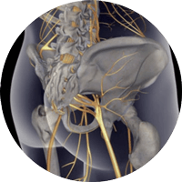 Ciatica nervioc ciatico quiropráctica
